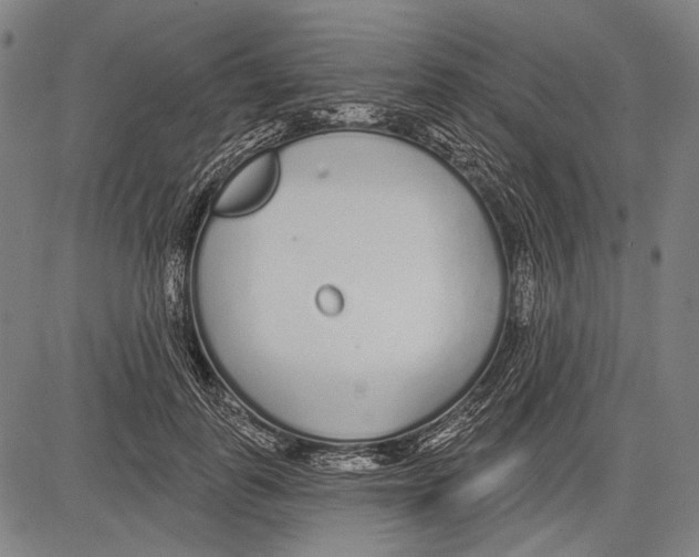 X0000081600747200702121549