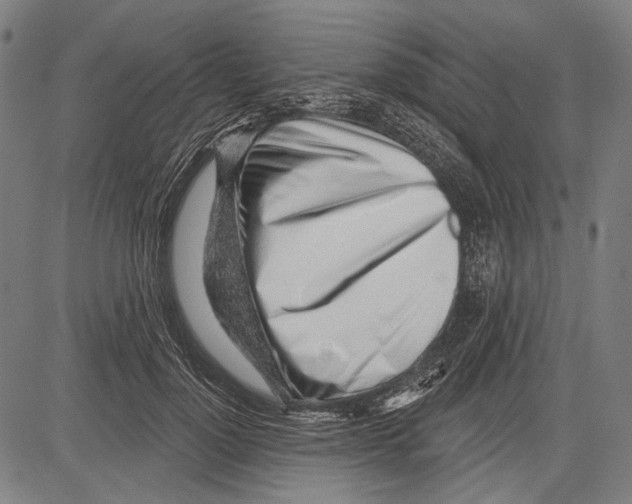 X0000081600748200702121549