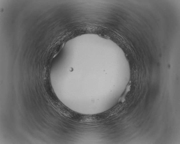 X0000081600750200702121549