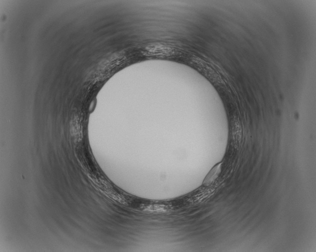 X0000081600751200702121549