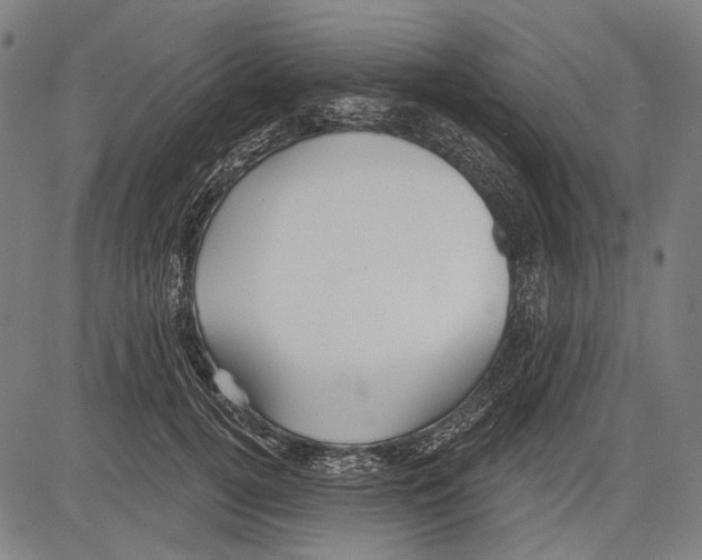 X0000081600752200702121549