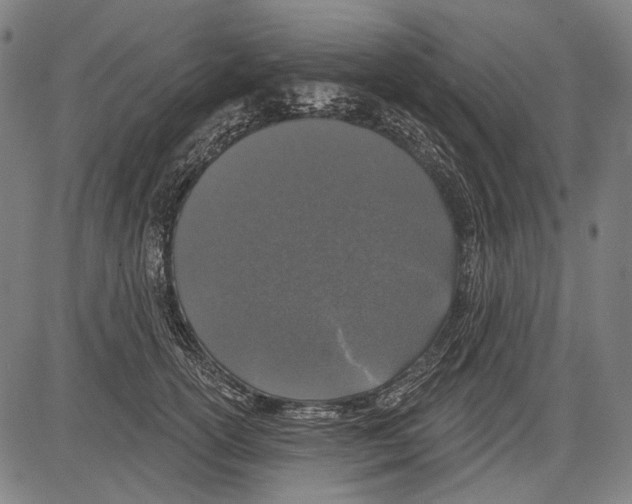 X0000081600754200702121549