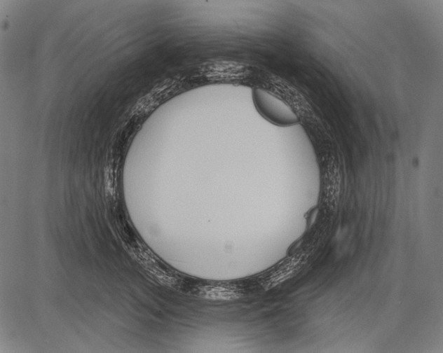 X0000081600755200702121549