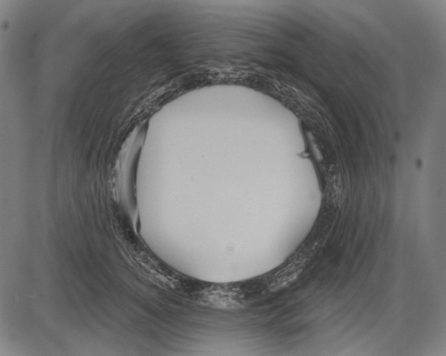 X0000081600756200702121549