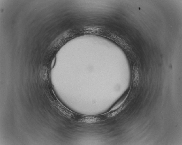 X0000081600758200702121549