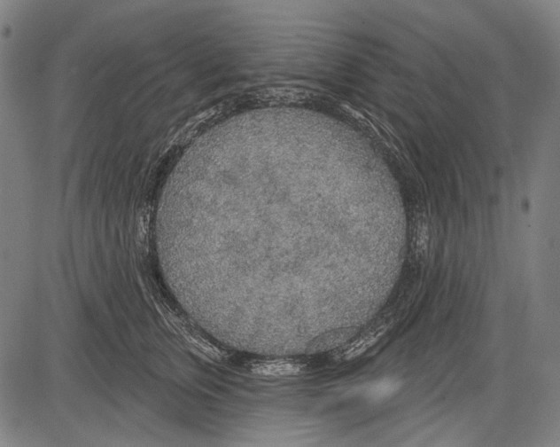 X0000081600759200702121549