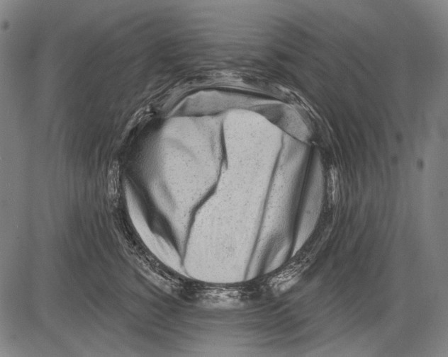 X0000081600760200702121549