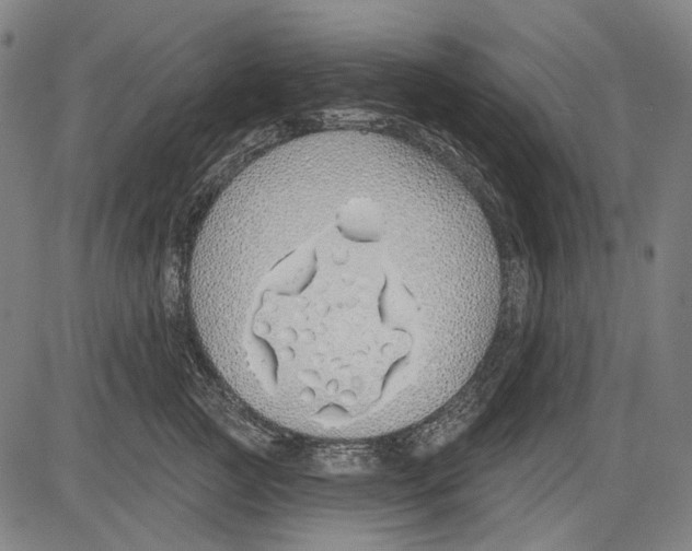 X0000081600761200702121549