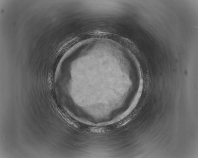 X0000081600762200702121549