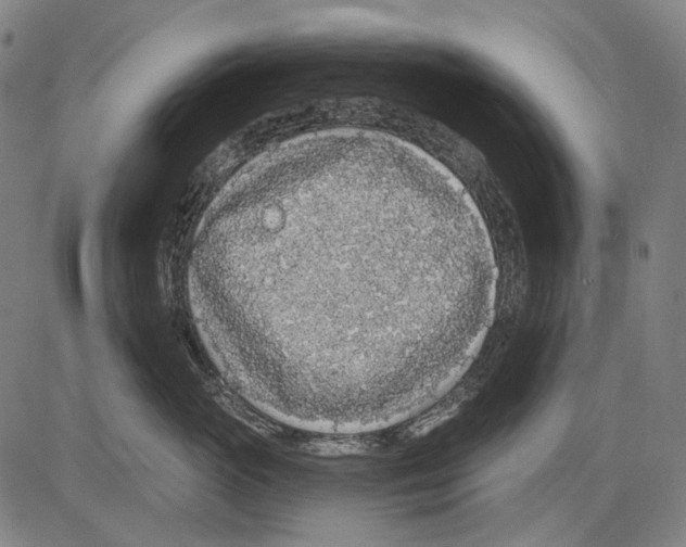 X0000081600765200702121549