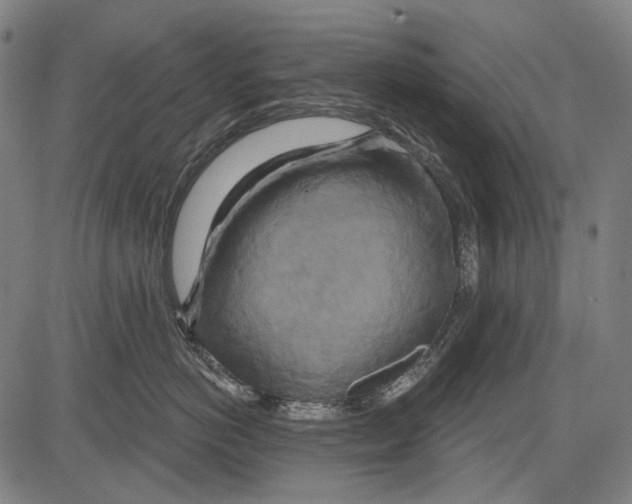 X0000081600766200702121549