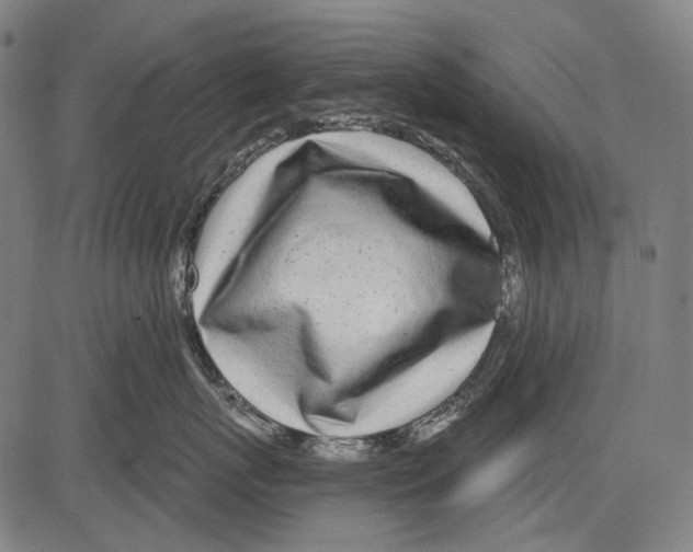 X0000081600767200702121549