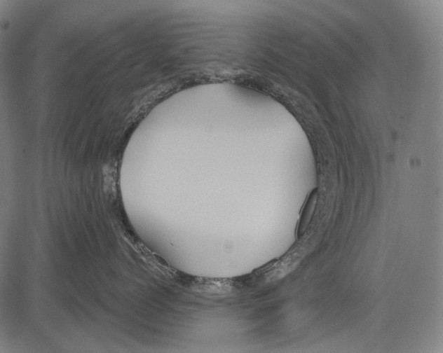 X0000081600768200702121549