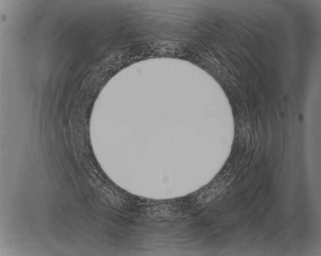 X0000081600769200702121548