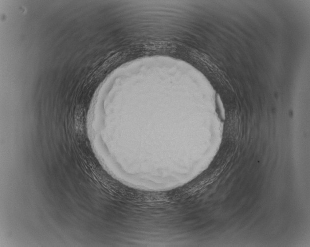 X0000081600770200702121548