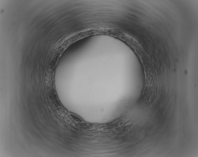 X0000081600773200702121548