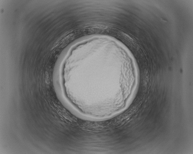 X0000081600774200702121548