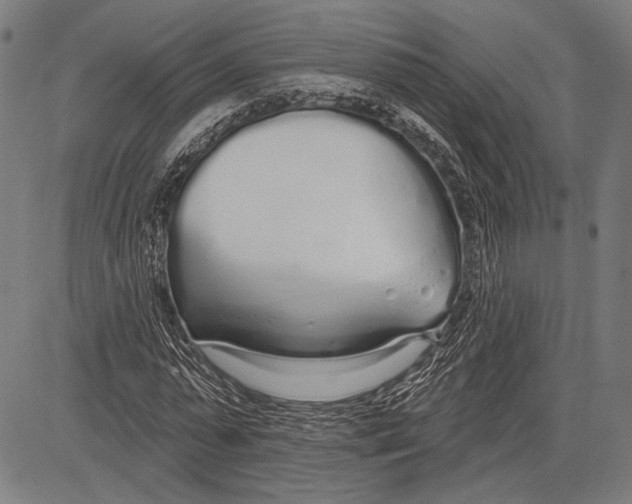 X0000081600775200702121548