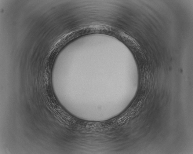 X0000081600776200702121548