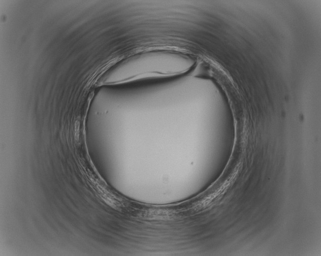 X0000081600777200702121548