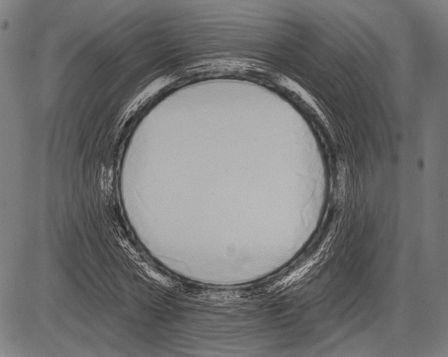 X0000081600778200702121548