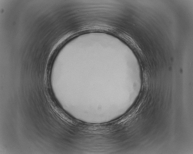 X0000081600780200702121548