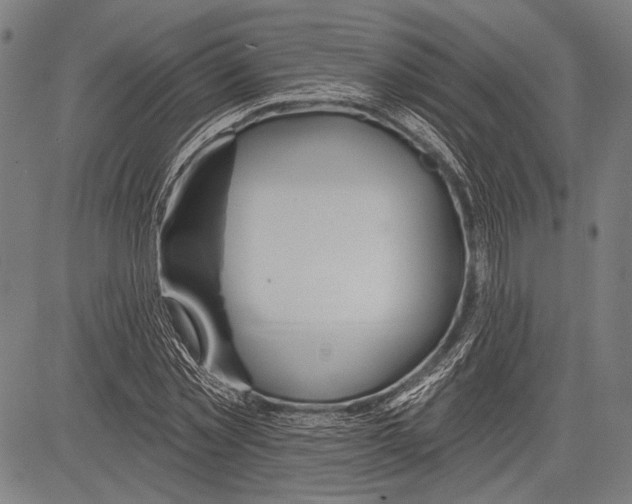 X0000081600781200702121548