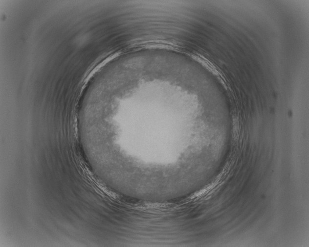 X0000081600782200702121548