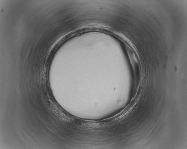 X0000081600783200702121548