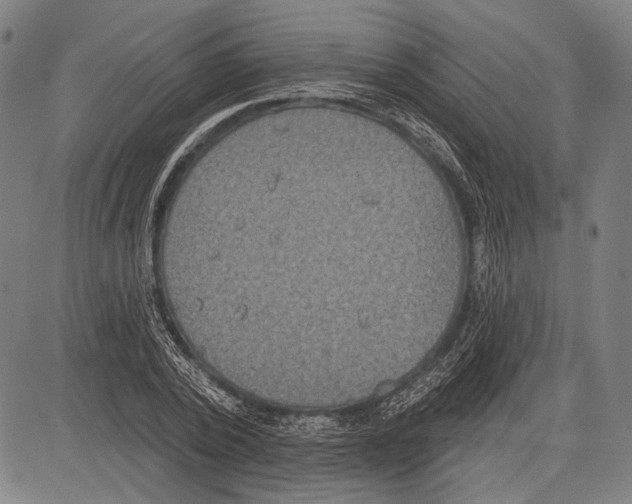 X0000081600784200702121548