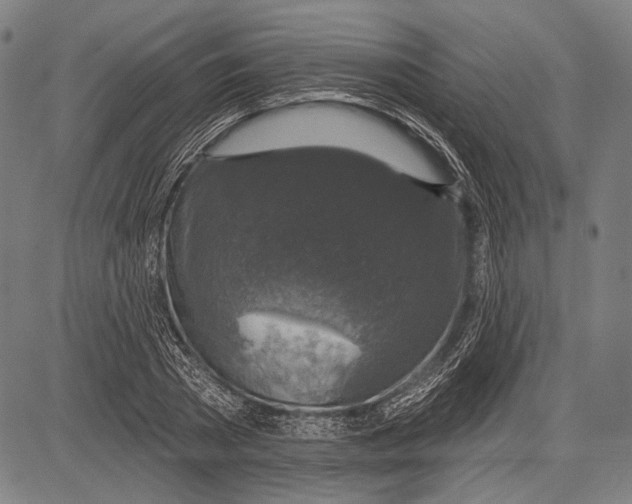 X0000081600785200702121548