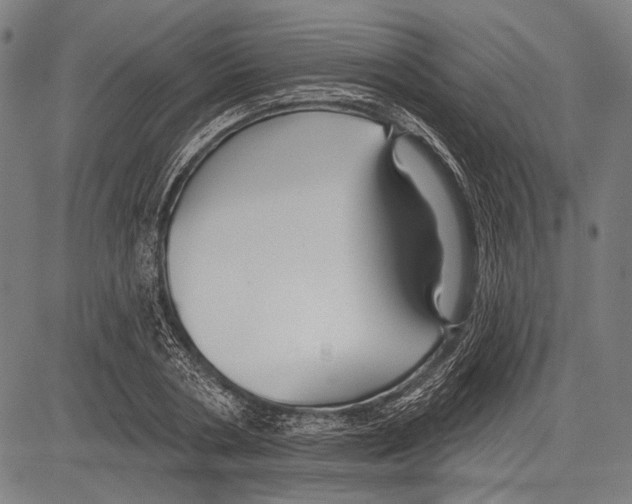 X0000081600786200702121548