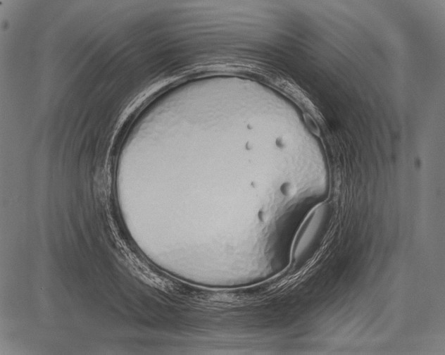 X0000081600787200702121548