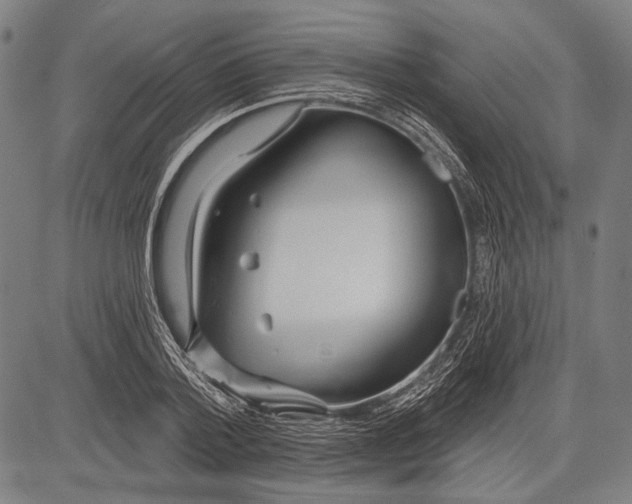 X0000081600788200702121548