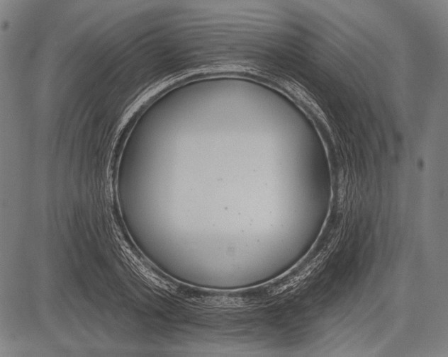 X0000081600789200702121548