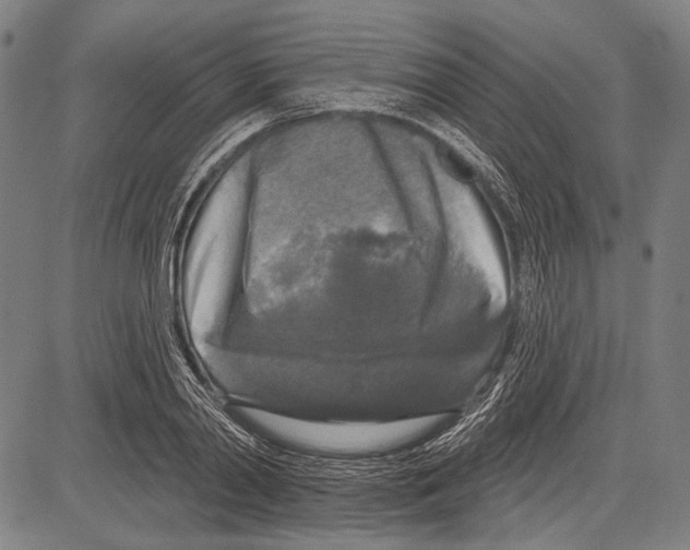 X0000081600790200702121548