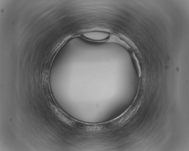 X0000081600793200702121548