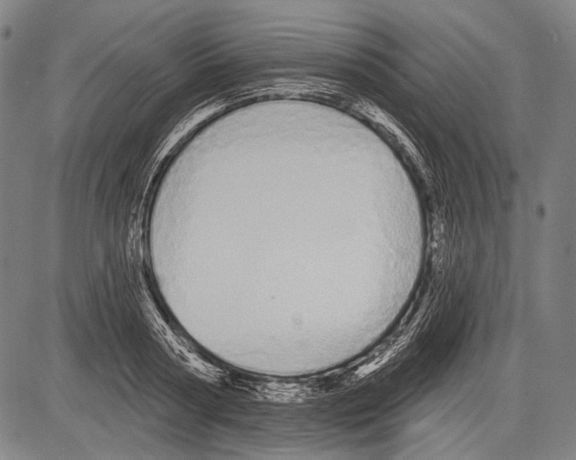 X0000081600794200702121548