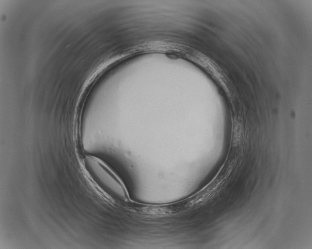 X0000081600795200702121548