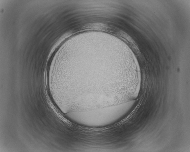 X0000081600796200702121548