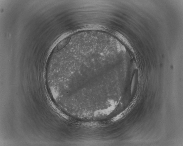 X0000081600797200702121548