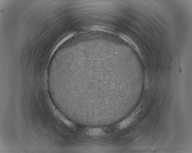 X0000081600798200702121548