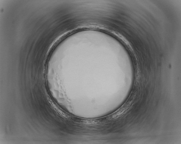 X0000081600799200702121548