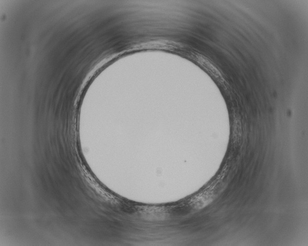 X0000081600800200702121548