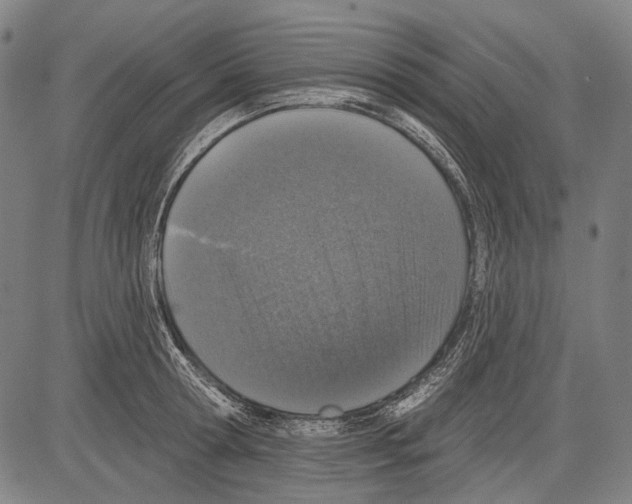 X0000081600802200702121548