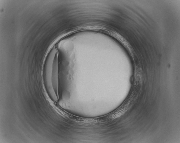 X0000081600803200702121548