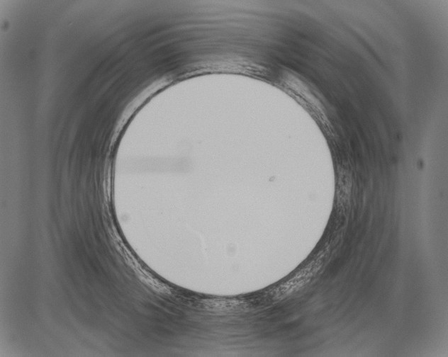 X0000081600804200702121548