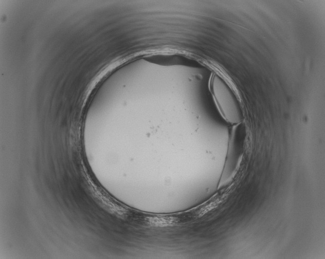 X0000081600805200702121548