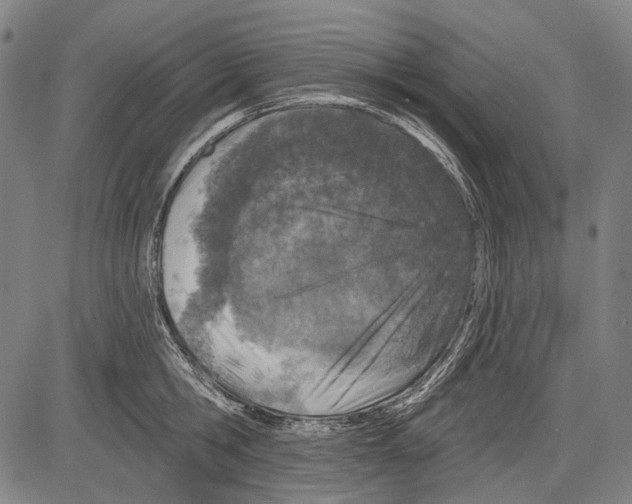 X0000081600806200702121548