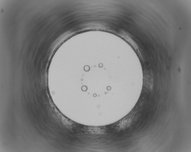 X0000081600807200702121548